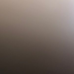 Meet your Posher, Rojan